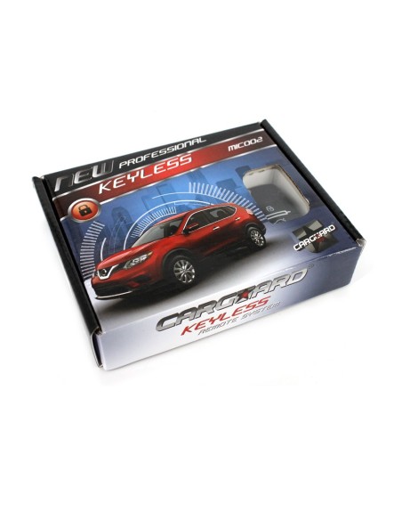 |AutoNeo.roModul inchidere centralizata cu telecomanda