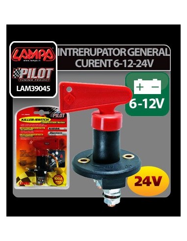 |AutoNeo.roIntrerupator general curent 6-12-24V