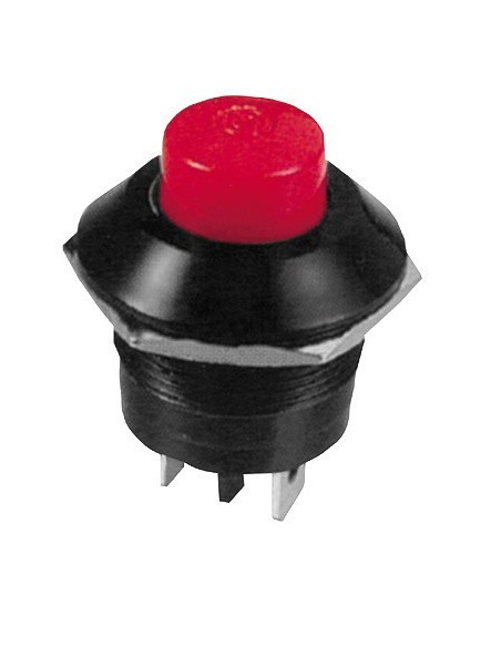 |AutoNeo.roIntrerupator cu revenire 12V-24V 10A