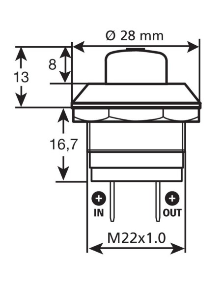 |AutoNeo.roIntrerupator cu revenire 12V-24V 10A