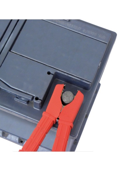 |AutoNeo.roClesti cablu transfer curent Carpoint 2buc - 100A