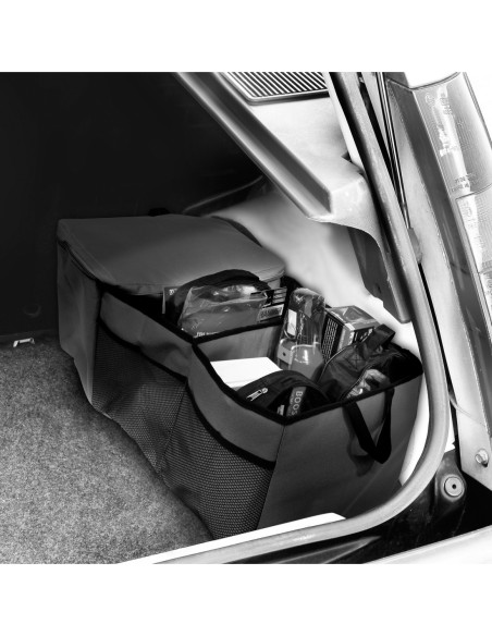 |AutoNeo.roGeanta organizatoare cu compartiment izolat termic Carpoint
