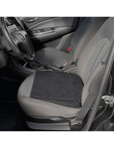 |AutoNeo.roInaltator scaun sofer Napoleon Kegel