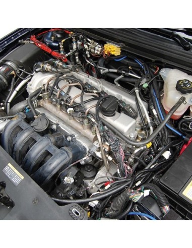 |AutoNeo.roDispozitiv cu ultrasunete anti rozatoare 12V