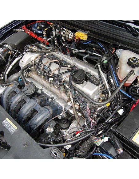 |AutoNeo.roDispozitiv cu ultrasunete anti rozatoare 12V