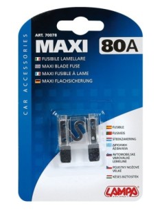 Accesorii auto electrice