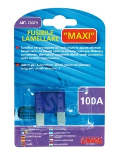 Accesorii auto electrice