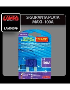 Accesorii auto electrice 2