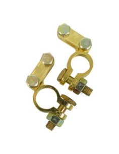 Accesorii auto electrice