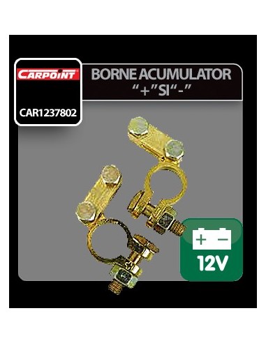 |AutoNeo.roBorne acumulator Carpoint 2buc 12V