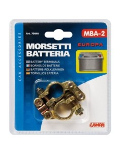 Accesorii auto electrice 2