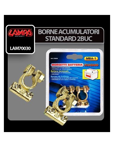 |AutoNeo.roBorne acumulator standard 2buc