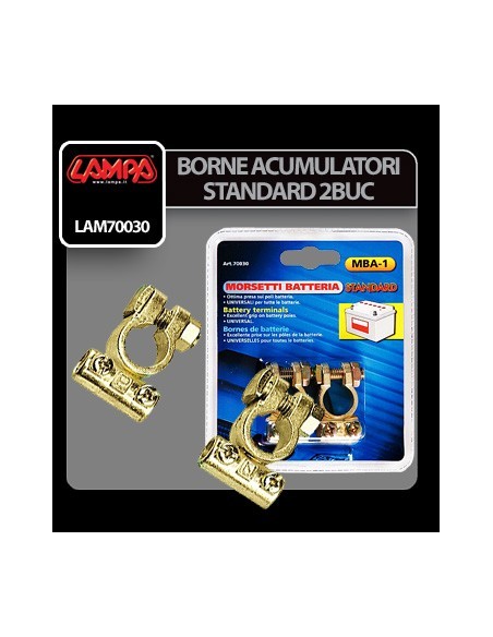 |AutoNeo.roBorne acumulator standard 2buc