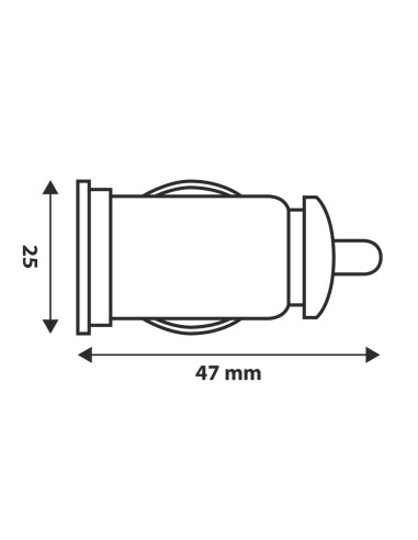 |AutoNeo.roPriza USB la bricheta 12/24V - 1000 mA
