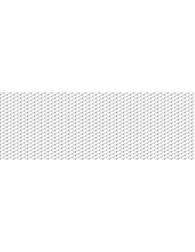 |AutoNeo.roPlasa grila spoiler Racing Argintiu - Small 2x4mm 100x33cm