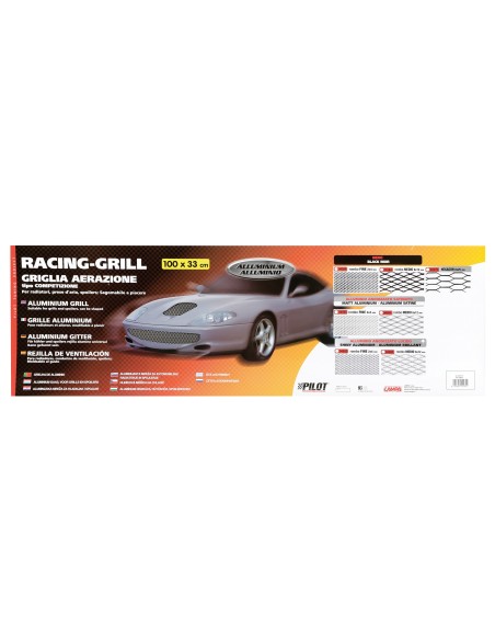 |AutoNeo.roPlasa grila spoiler Racing Argintiu - Small 2x4mm 100x33cm