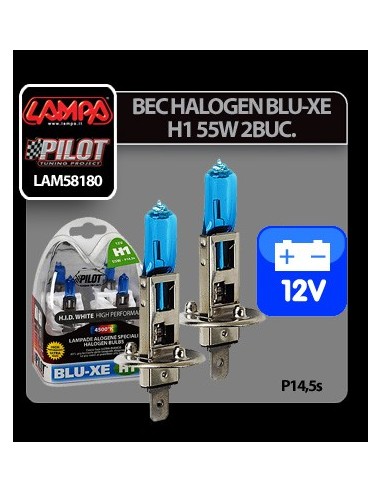 |AutoNeo.roBec halogen Blu-Xe  H1 55W P14,5s 12V 2buc