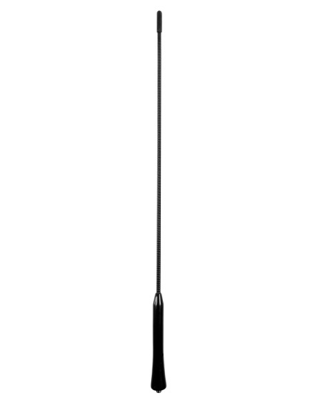 |AutoNeo.roVergea antena tip Golf AM/FM Lampa - 41cm - Ø 6mm
