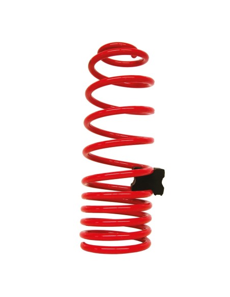 |AutoNeo.roDistantiere spire arcuri suspensie