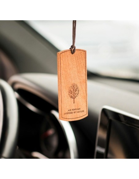 |AutoNeo.roOdorizant auto din lemn Evos - Viking