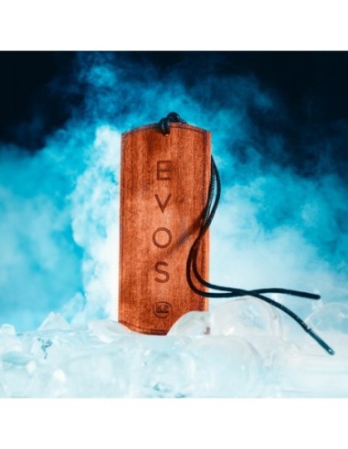 |AutoNeo.roOdorizant auto din lemn Evos - Viking