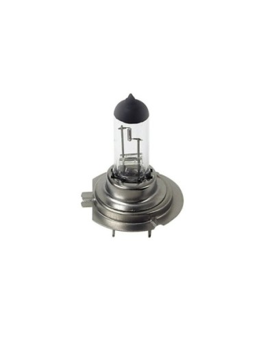 |AutoNeo.roBec halogen 24V - H7 - 70W - PX26d 1buc Lampa - Cutie