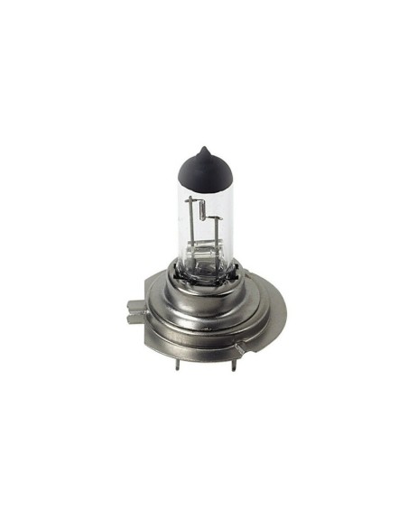 |AutoNeo.roBec halogen 24V - H7 - 70W - PX26d 1buc Lampa - Cutie