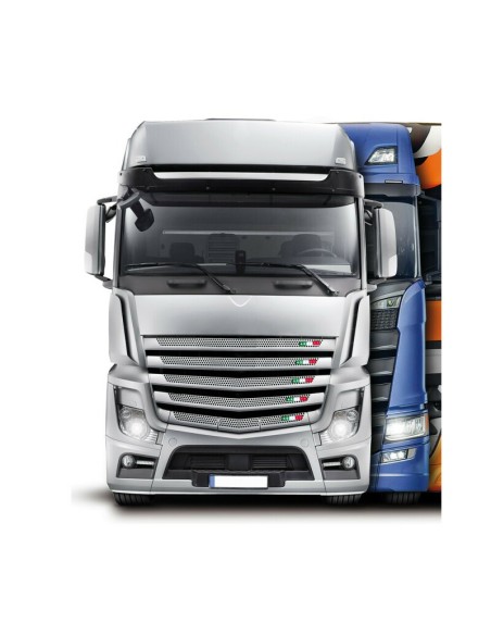 |AutoNeo.roBanda 6LED 12cm 24V steag - Italia