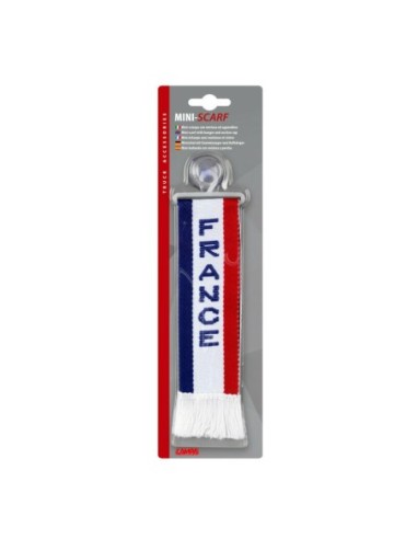|AutoNeo.roFanion mic cu ventuza - Franta