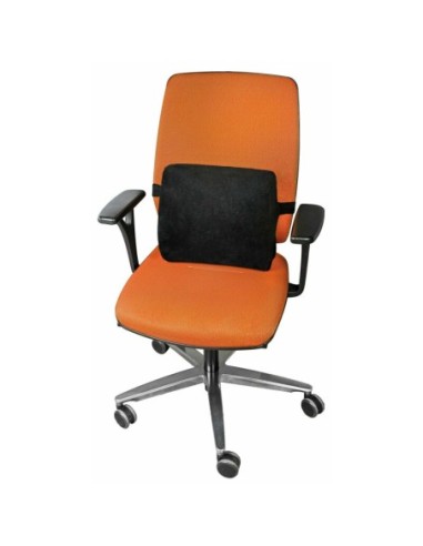 |AutoNeo.roSuport de sprijin lombar ergonomic cu spuma memorie