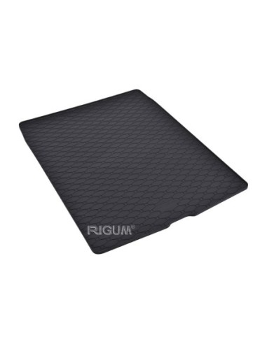 |AutoNeo.roTavita portbagaj BMW Seria 3 F30 fabricatie 01.2012 - 02.2019, caroserie sedan