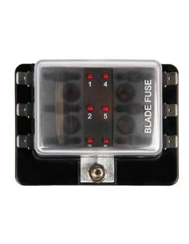 |AutoNeo.roCutie sigurante 1 intrare 6 iesiri 12/24V