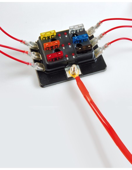 |AutoNeo.roCutie sigurante 1 intrare 6 iesiri 12/24V