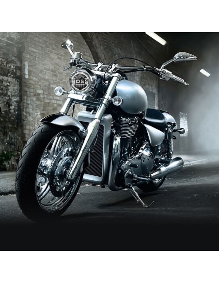 |AutoNeo.roLampa Suplimentara LED pentru Vehicule Off-Road, ATV, SSV, cu inscriptie "BOSS"