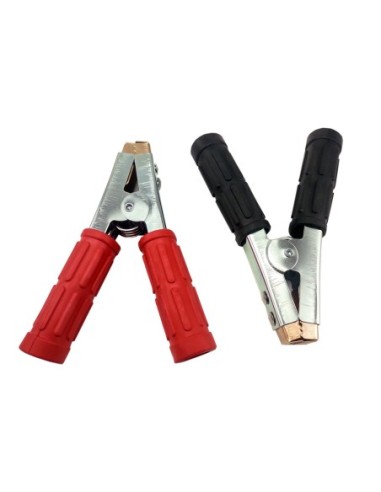 |AutoNeo.roCleme crocodil 800-1000 Ah Carguard