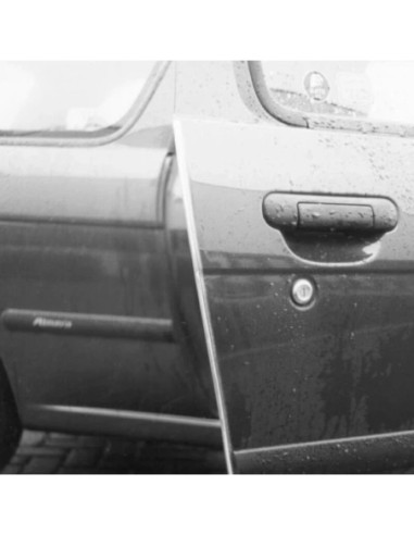 |AutoNeo.roAparatori usi 2x60cm Carpoint - Transparent