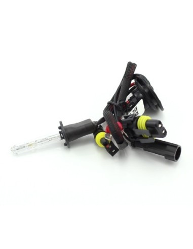 |AutoNeo.roBec Xenon H1-5K +20% Extra Power - CARGUARD