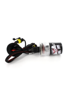 Bec Xenon H11-6K - CARGUARD 2