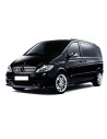 Mercedes Viano